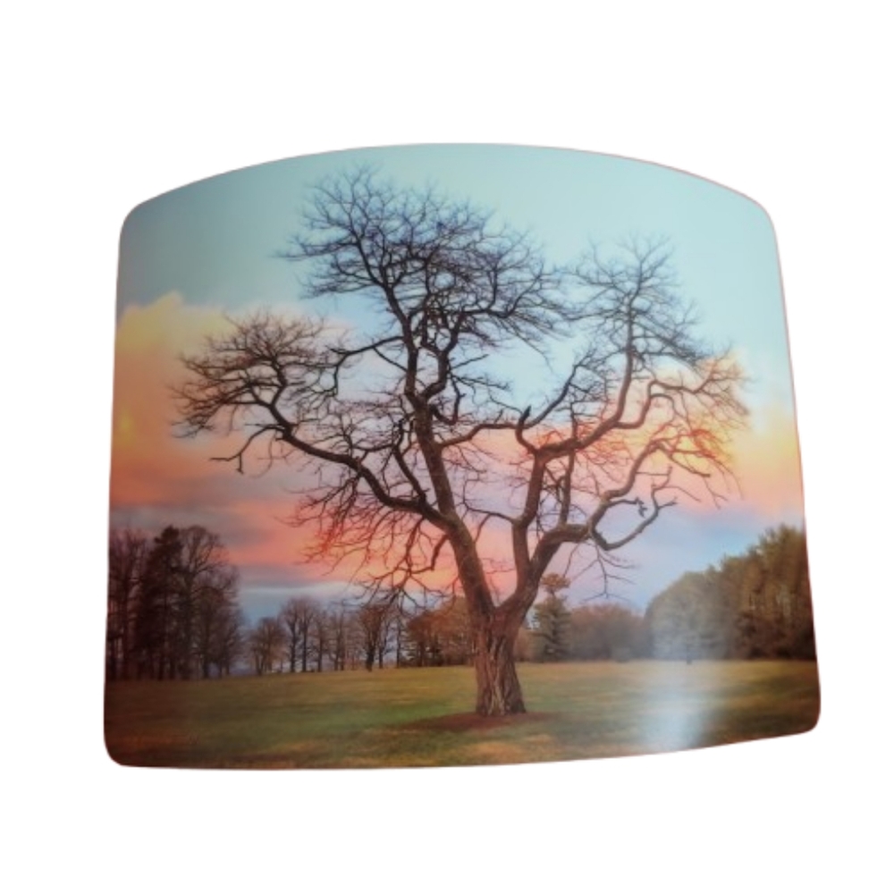 Scenic Tree Desk Art 5" X 7" Approx.  Bare Tree Sunrise Metal Beauty